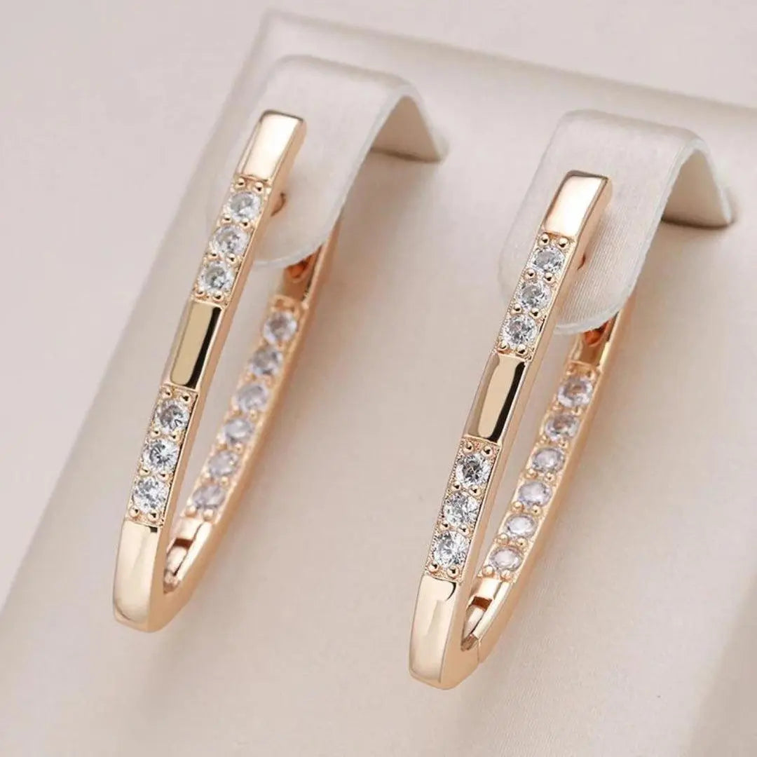 Demanding earrings with zirconia stones